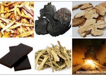 Một số vị thuốc trong bài thuốc Hoàng thổ thang.