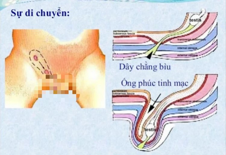 Các bệnh hay gặp ở trẻ em