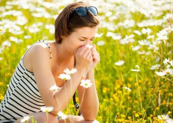 Nồng độ phấn hoa trong không khí cao có thể làm tăng nồng độ nhiễm SARS-CoV-2.