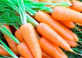 Các loại rau củ cải thiện cho phụ nữ mang thai bị thiếu máu