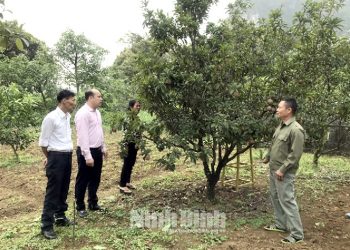 Ông Vũ Văn Lịch, thôn Tân Thành, xã Thạch Bình giới thiệu mô hình chuyển đổi sản xuất