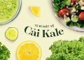 Cải xoăn Kale