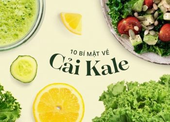 Cải xoăn Kale
