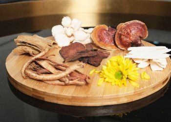 Giải pháp hỗ trợ phục hồi gan nhiễm mỡ, viêm gan bị tổn thương do bia rượu