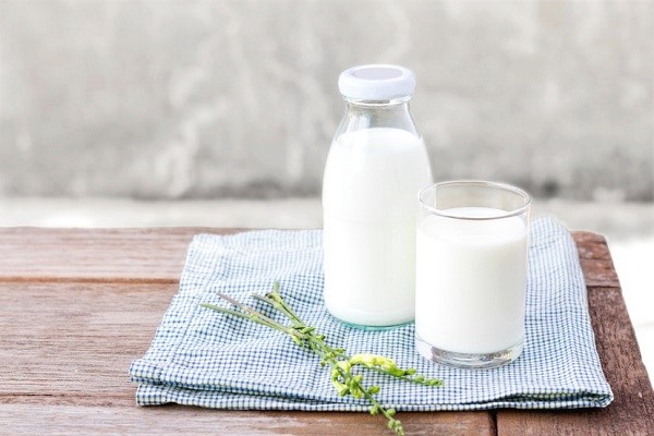 Sữa là cách đơn giản và dễ nhất để bù lượng protein cần thiết cho cơ thể.