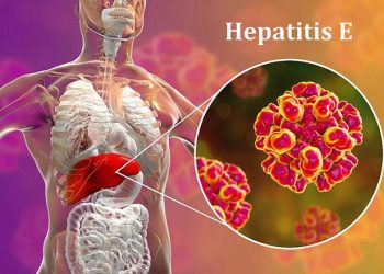 Viêm gan E nguy hiểm không kém các loại viêm gan virus khác như viêm gan B, C (Ảnh minh họa)