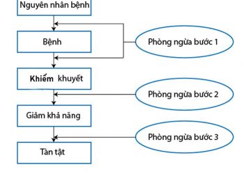 so do bien phap phong ngua tan tat