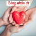 long nhan ai