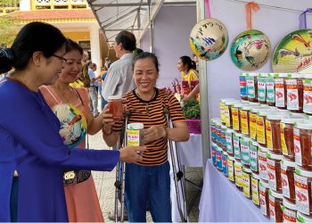 Hoạt động tập huấn bảo vệ người khuyết tật bị lừa đảo trên không gian mạng